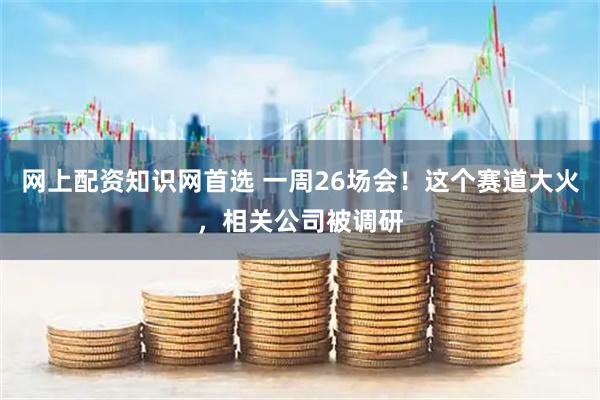 网上配资知识网首选 一周26场会！这个赛道大火，相关公司被调研